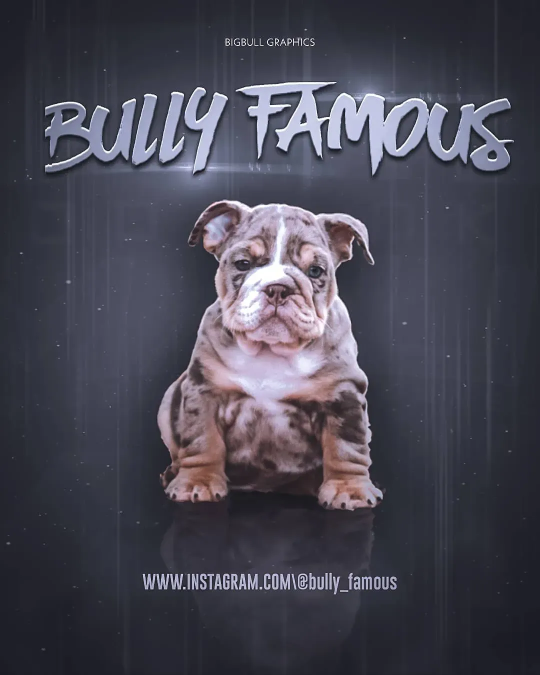 Bully Famous