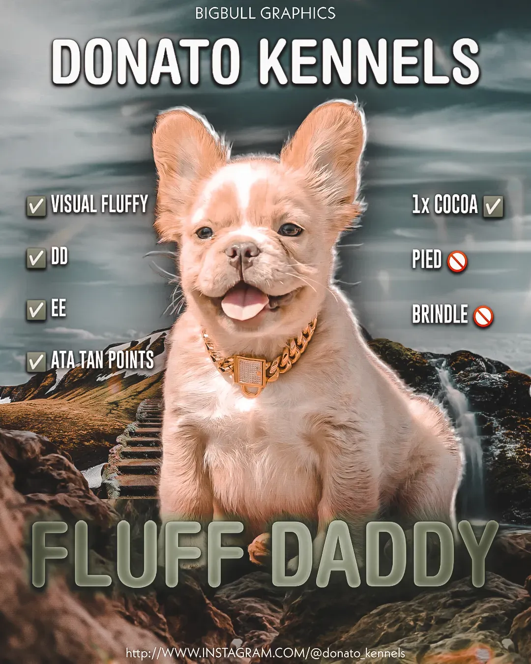 Fluff Daddy V1