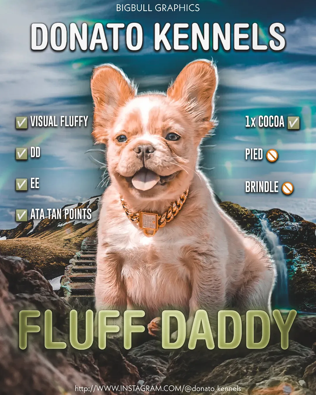 Fluff Daddy V2