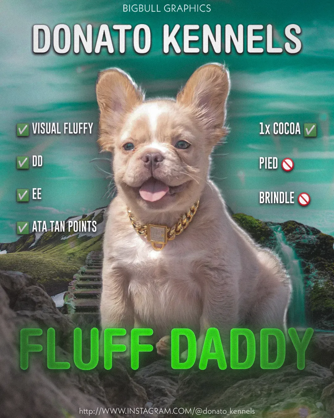 Fluff Daddy V3