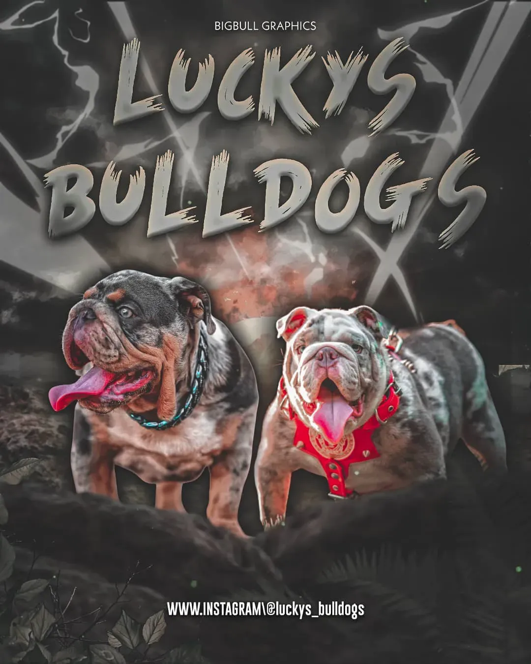 Luckys Bulldogs