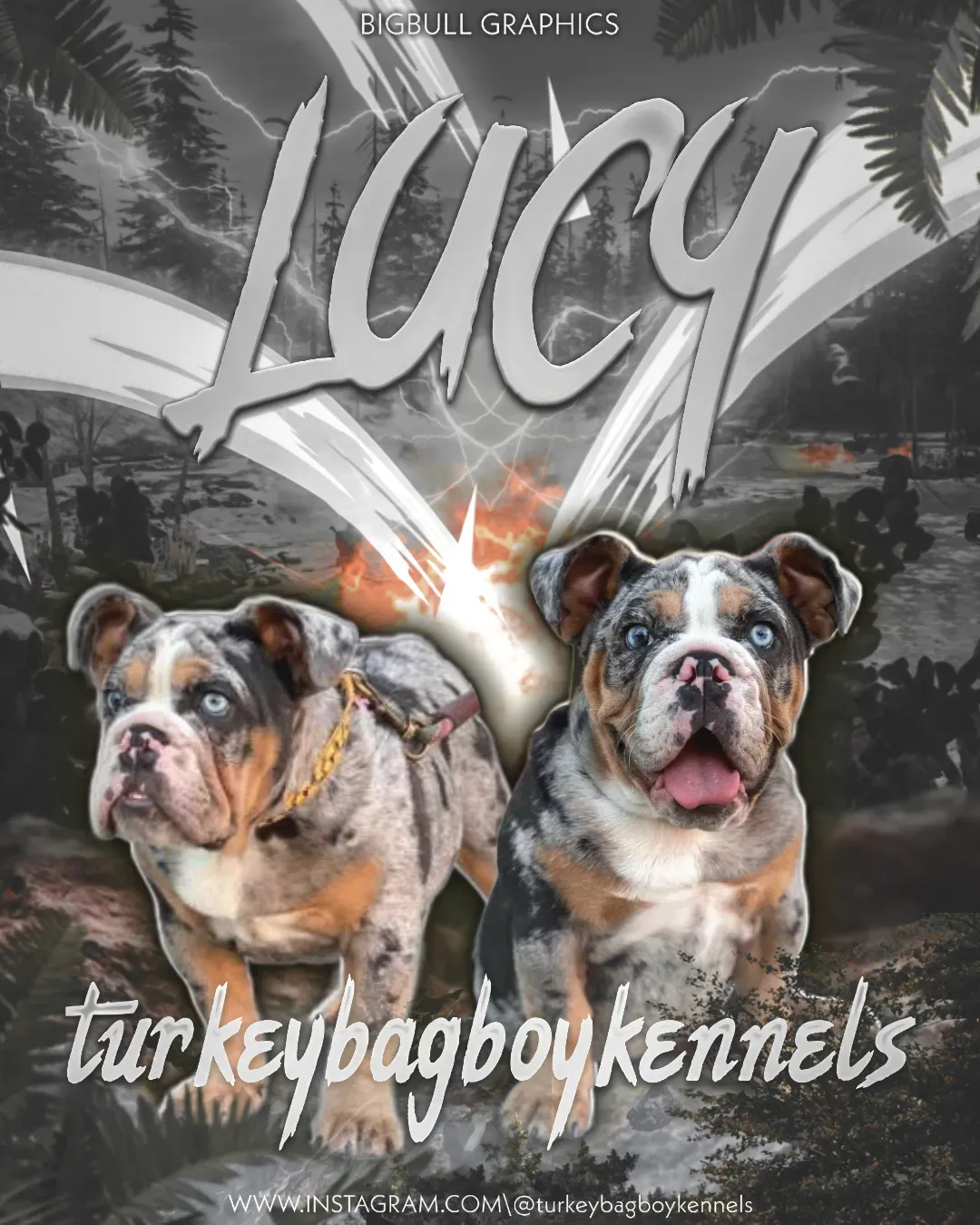 Lucy