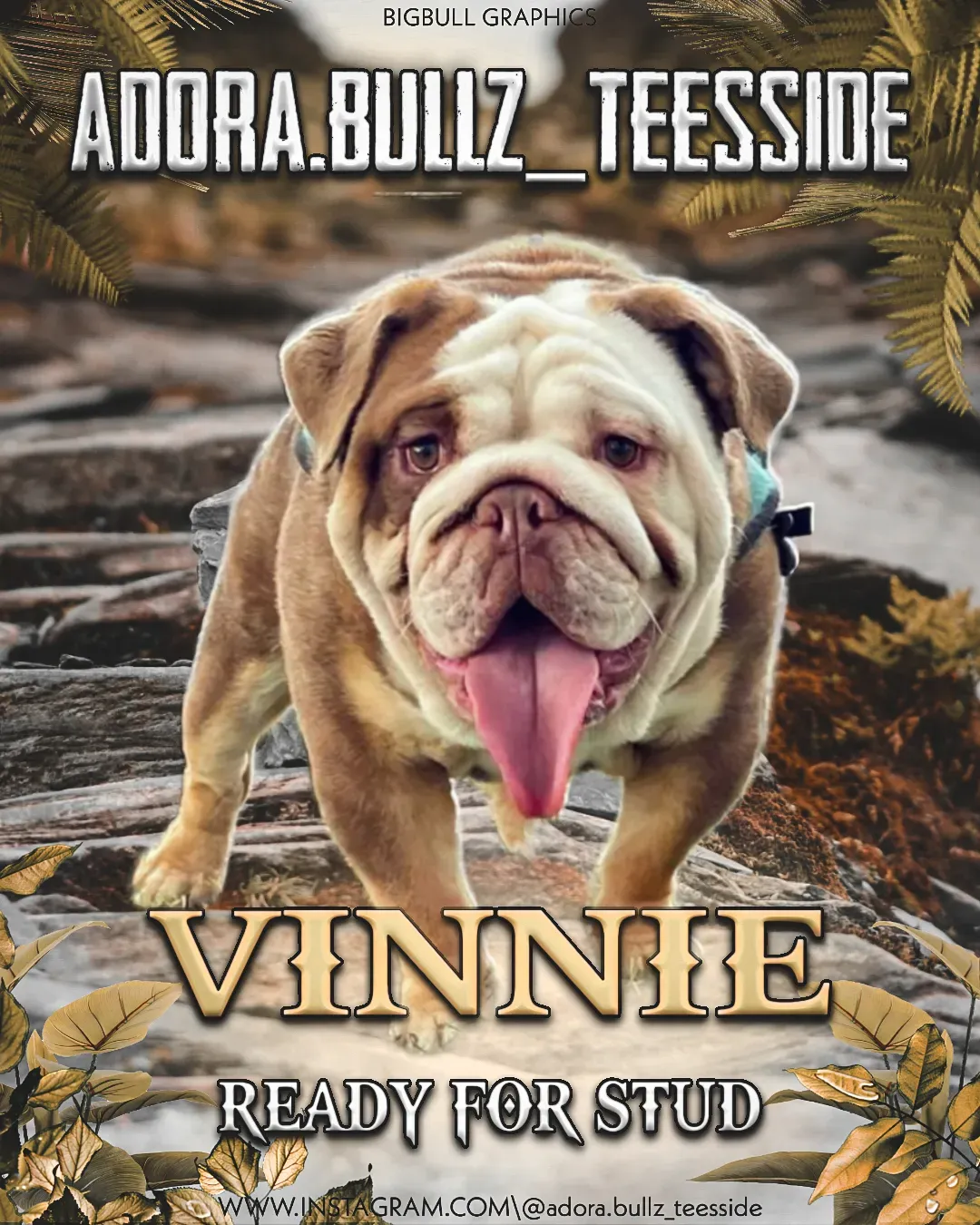 Vinnie Original