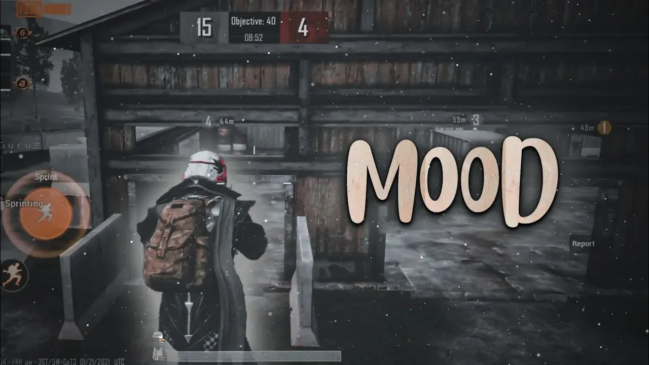 YT Thumbnail 13